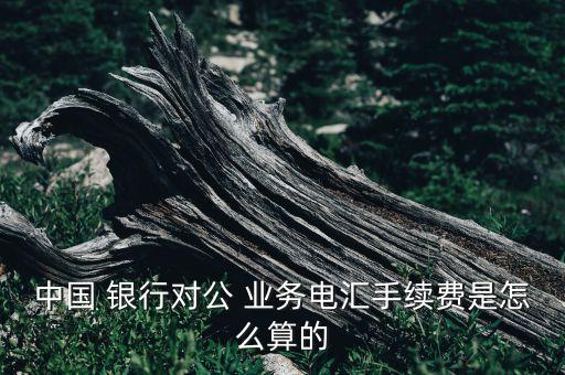 中國 銀行對公 業(yè)務(wù)電匯手續(xù)費(fèi)是怎么算的