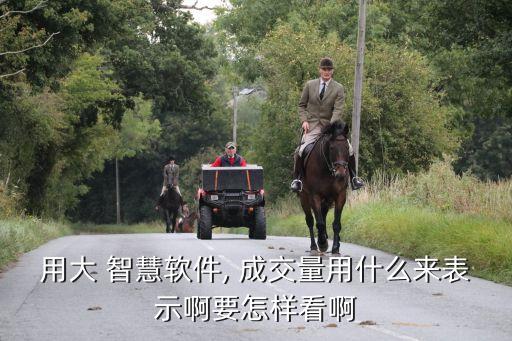 用大 智慧軟件, 成交量用什么來表示啊要怎樣看啊
