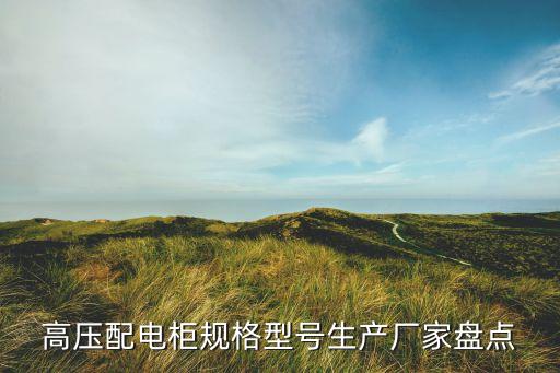 高壓配電柜規(guī)格型號生產(chǎn)廠家盤點