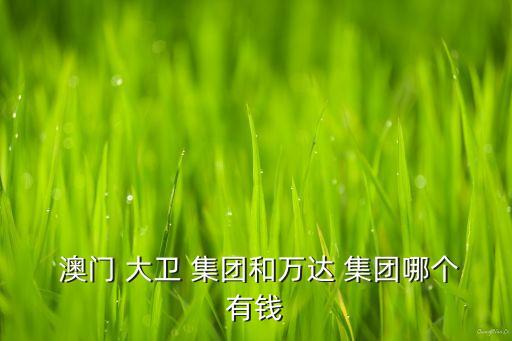  澳門 大衛(wèi) 集團(tuán)和萬(wàn)達(dá) 集團(tuán)哪個(gè)有錢