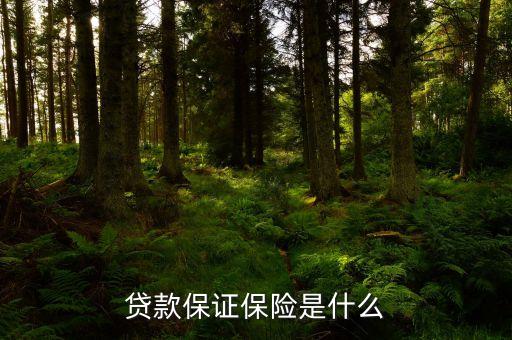 貸款保證保險是什么