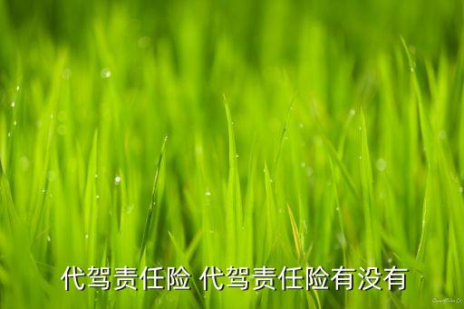  代駕責(zé)任險(xiǎn) 代駕責(zé)任險(xiǎn)有沒(méi)有