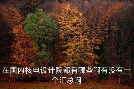 在國(guó)內(nèi)核電設(shè)計(jì)院都有哪些啊有沒有一個(gè)匯總啊