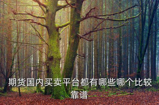  期貨國(guó)內(nèi)買賣平臺(tái)都有哪些哪個(gè)比較靠譜