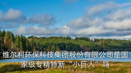 維利爾股票,冰島辛格維利爾國(guó)家公園