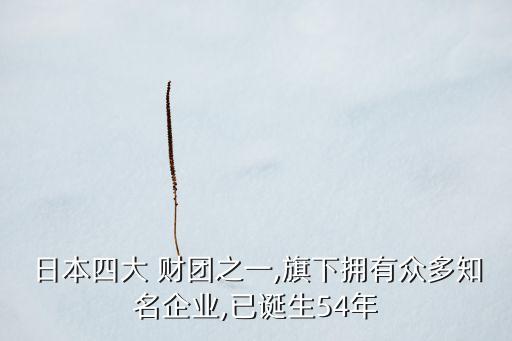 日本銀行財團(tuán)資產(chǎn),日本四大財團(tuán)資產(chǎn)