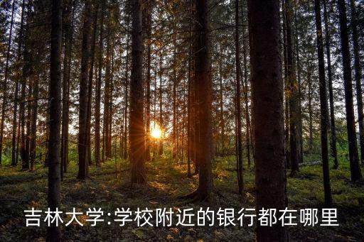 吉林大學(xué):學(xué)校附近的銀行都在哪里