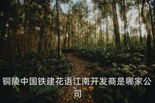 中鐵投資集團(tuán)珠三角,中鐵開發(fā)投資集團(tuán)有限公司