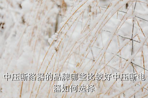 長沙華自電氣設(shè)備有限公司,長沙普洛電氣設(shè)備有限公司