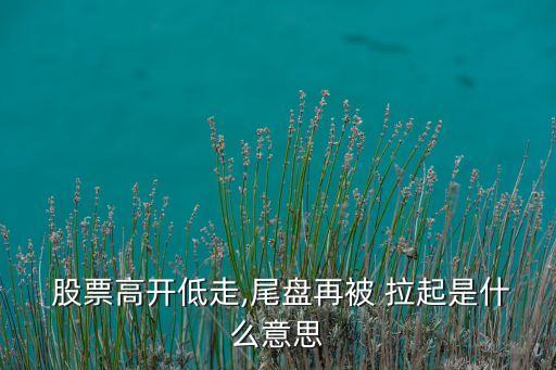  股票高開(kāi)低走,尾盤(pán)再被 拉起是什么意思