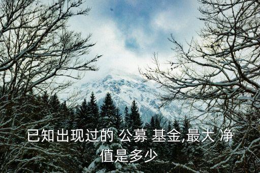 已知出現(xiàn)過(guò)的 公募 基金,最大 凈值是多少