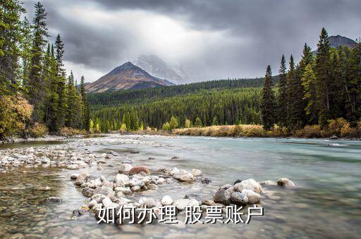 如何辦理 股票賬戶