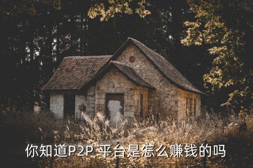 做網(wǎng)絡(luò)p2p平臺投資多少,P2P網(wǎng)絡(luò)借貸平臺