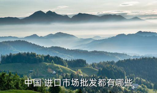 中國 進(jìn)口市場批發(fā)都有哪些
