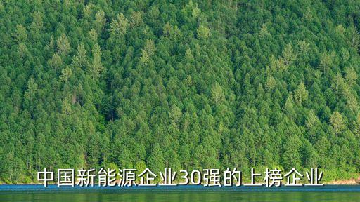 龍?jiān)措娏瘓F(tuán)股份有限公司,中國(guó)龍?jiān)措娏瘓F(tuán)股份有限公司