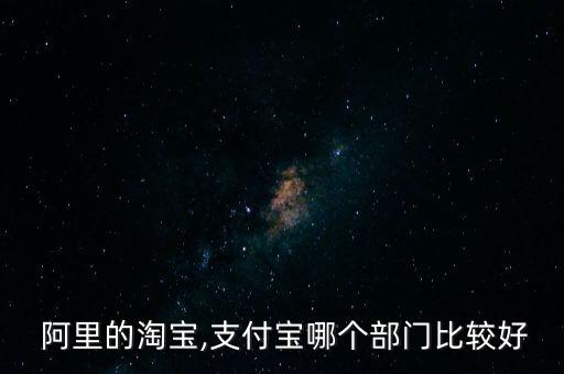  阿里的淘寶,支付寶哪個(gè)部門比較好