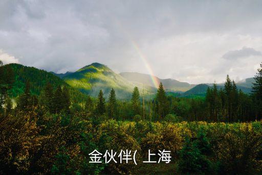 金伙伴( 上海