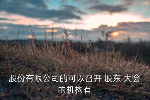 股份有限公司的可以召開 股東 大會的機(jī)構(gòu)有
