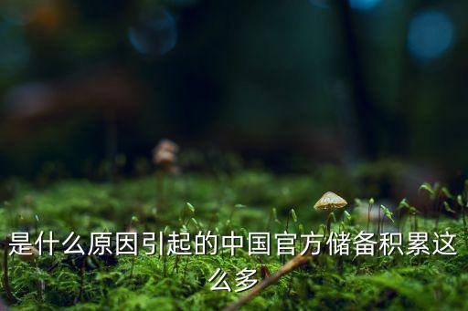 是什么原因引起的中國(guó)官方儲(chǔ)備積累這么多