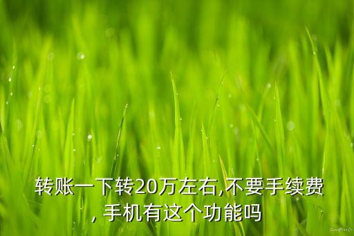  轉賬一下轉20萬左右,不要手續(xù)費, 手機有這個功能嗎