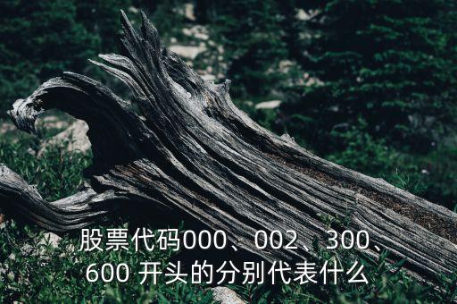 股票代碼000、002、300、600 開頭的分別代表什么