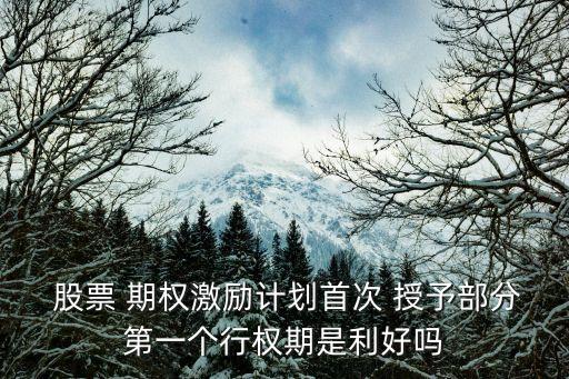  股票 期權(quán)激勵(lì)計(jì)劃首次 授予部分第一個(gè)行權(quán)期是利好嗎