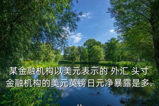某銀行敞開外匯頭寸,假設(shè)一家銀行的外匯敞口頭寸如下