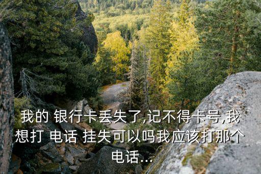 我的 銀行卡丟失了,記不得卡號,我想打 電話 掛失可以嗎我應(yīng)該打那個 電話...