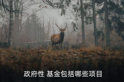  政府性 基金包括哪些項(xiàng)目