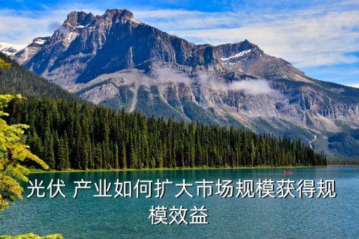  光伏 產(chǎn)業(yè)如何擴大市場規(guī)模獲得規(guī)模效益