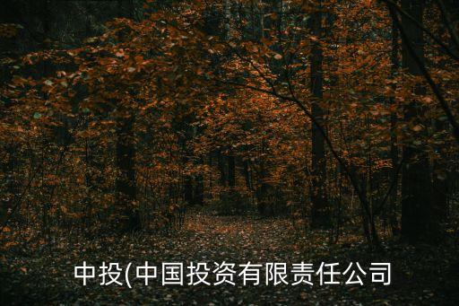  中投(中國(guó)投資有限責(zé)任公司