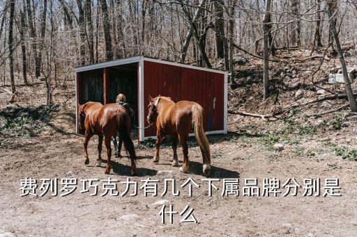  費(fèi)列羅巧克力有幾個(gè)下屬品牌分別是什么