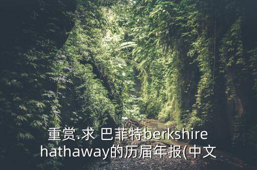 重賞.求 巴菲特berkshirehathaway的歷屆年報(bào)(中文