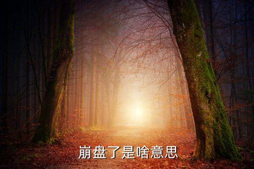 股票預警崩盤排序