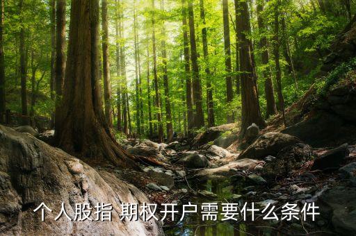 個(gè)人股指 期權(quán)開戶需要什么條件