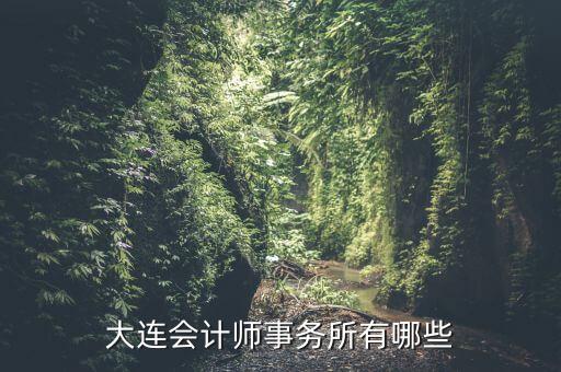 大連會計(jì)師事務(wù)所有哪些