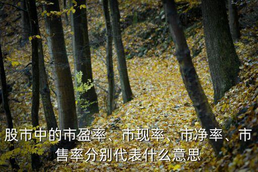 股市中的市盈率、市現(xiàn)率、市凈率、市售率分別代表什么意思