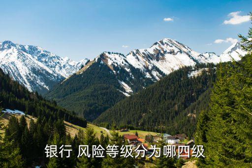 商業(yè)銀行的戰(zhàn)略風險包括,風險偏好是商業(yè)銀行在追求實現(xiàn)戰(zhàn)略