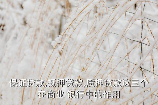 保證貸款,抵押貸款,質(zhì)押貸款這三個在商業(yè) 銀行中的作用