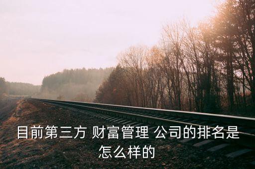 目前第三方 財(cái)富管理 公司的排名是怎么樣的