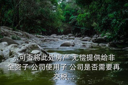 母子公司資金無償使用