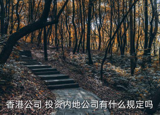 香港公司 投資內地公司有什么規(guī)定嗎