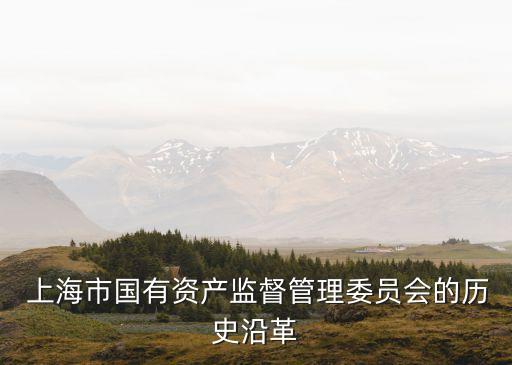 上海國(guó)企國(guó)資改革,山西省國(guó)企國(guó)資改革財(cái)政支持政策