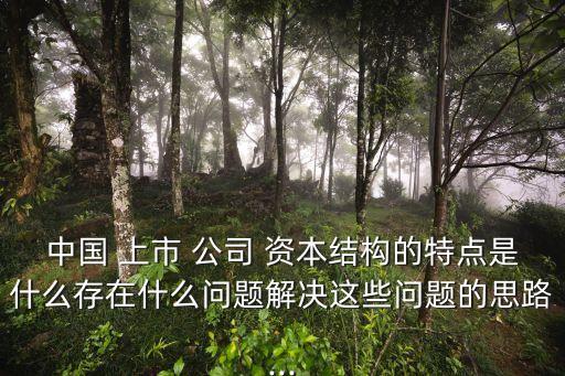 中國 上市 公司 資本結構的特點是什么存在什么問題解決這些問題的思路...