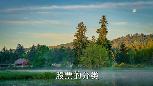  股票的分類(lèi)