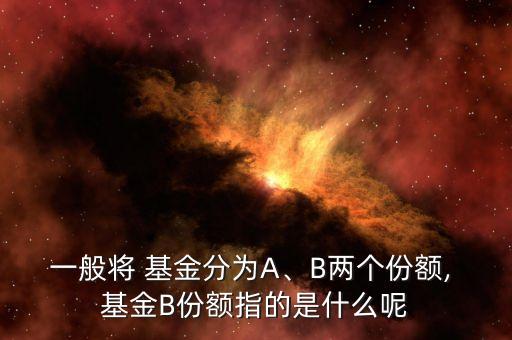 一般將 基金分為A、B兩個(gè)份額, 基金B(yǎng)份額指的是什么呢
