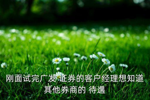 合肥哪個證券公司待遇好,合肥國元證券公司待遇怎么樣