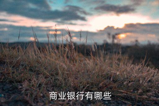 中國(guó)銀行是不是商業(yè)銀行,商業(yè)銀行是指哪些銀行