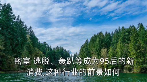  密室 逃脫、轟趴等成為95后的新消費(fèi),這種行業(yè)的前景如何