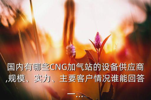 國內(nèi)有哪些CNG加氣站的設(shè)備供應(yīng)商,規(guī)模、實力、主要客戶情況誰能回答一...